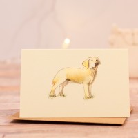 Mini Cream Labrador gift card